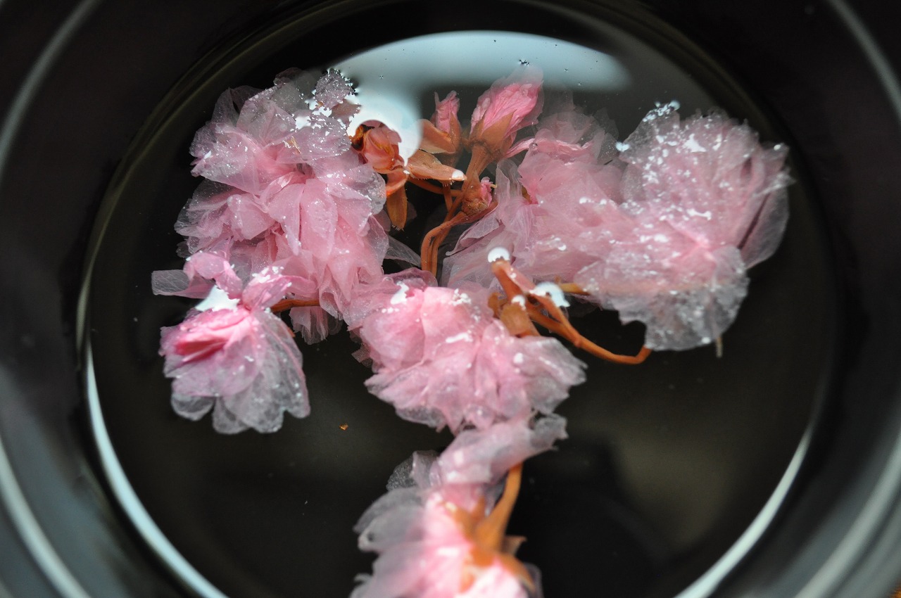 桜の花 塩漬け 桜花吸い 和食のわ